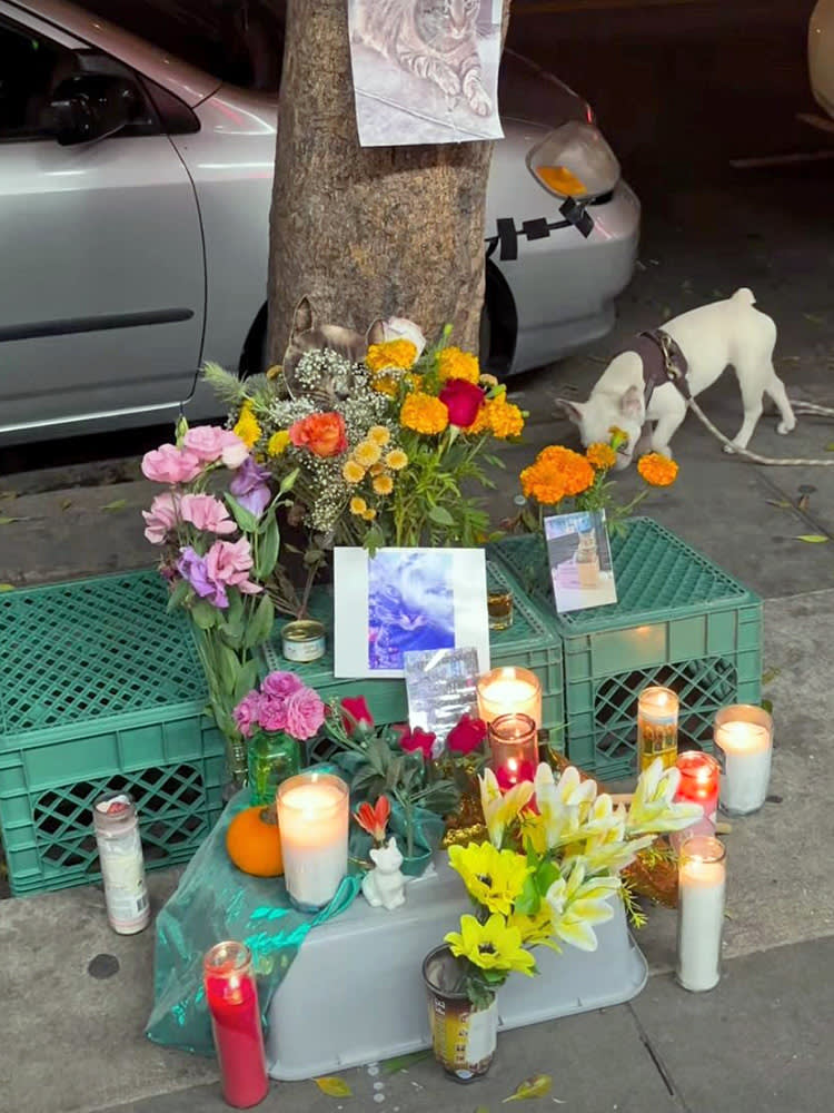 Waymo cat death memorial