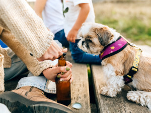 A woman opening a beer bottle while sitting next to her dog.