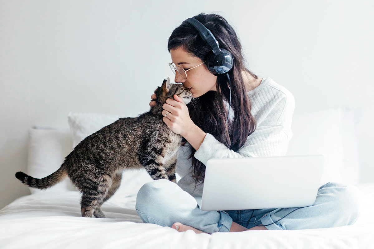 cat nuzzling woman wearing headphones