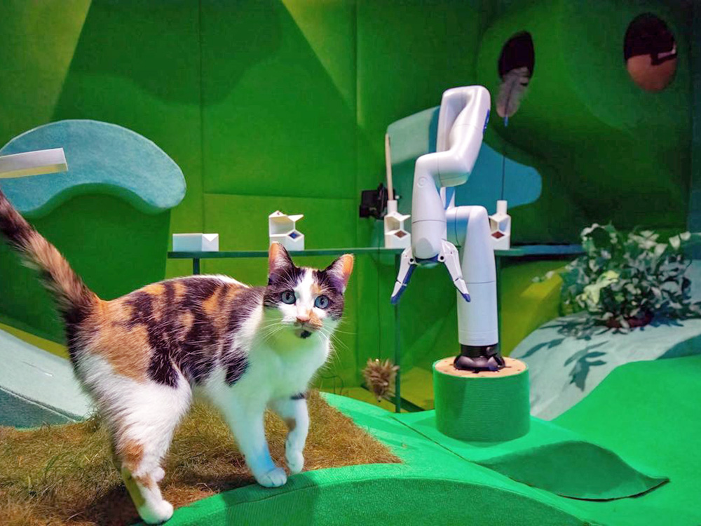 Clover, Pumpkin and Ghostbuster's first visit to the Cat Royale utopia.