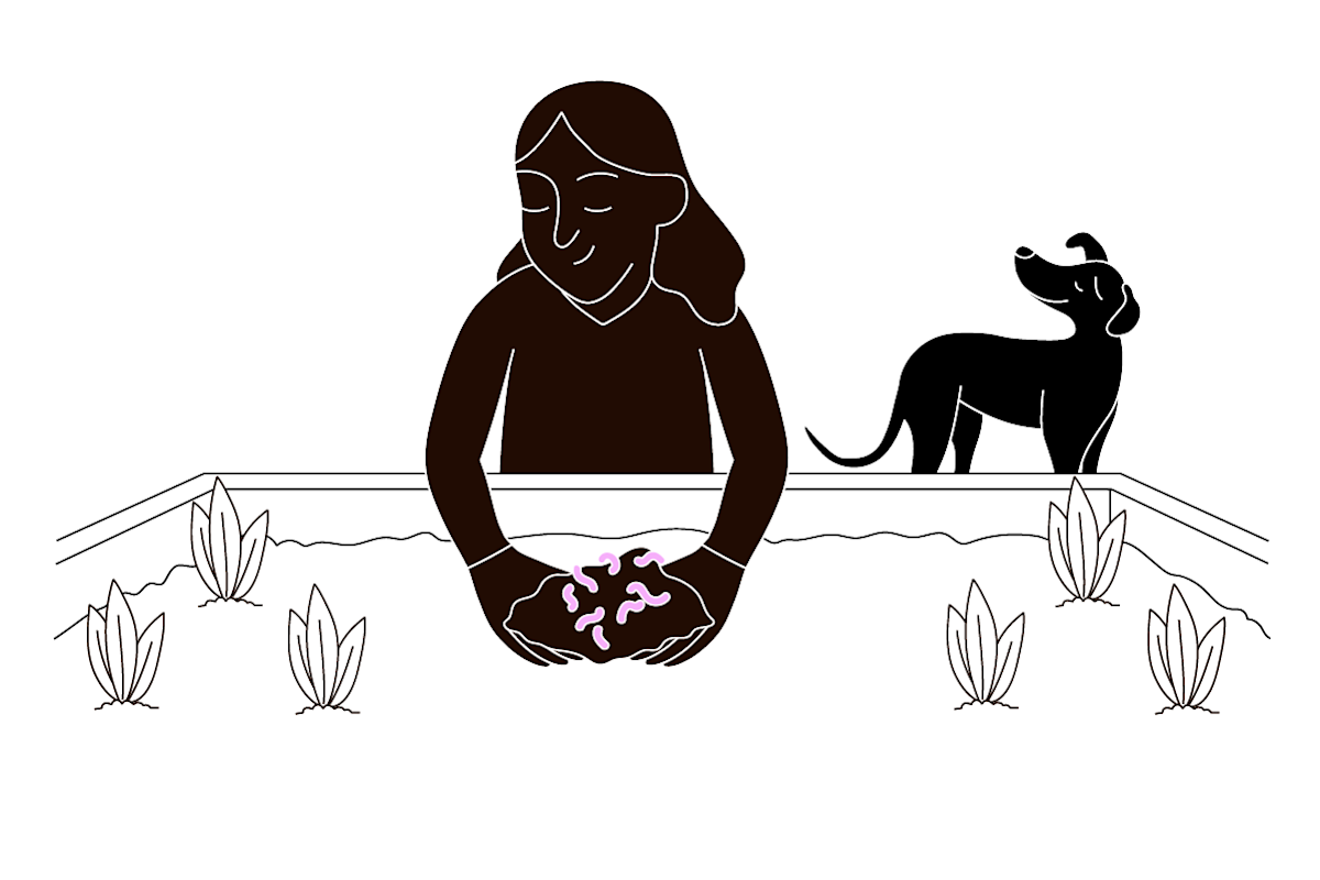 A pet parent manages diatomaceous earth in the soil of their garden bed