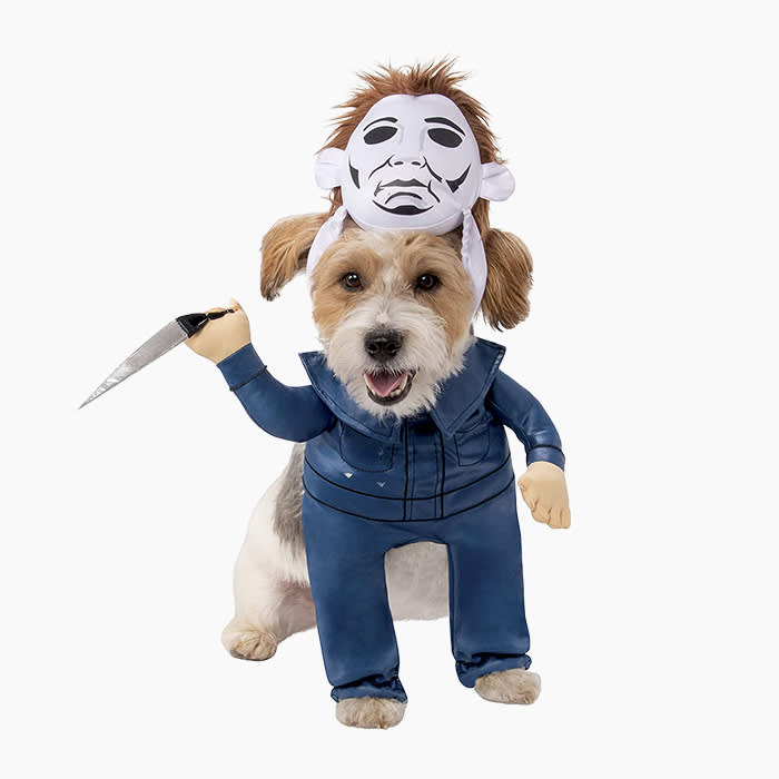 dog in a michael myers halloween costume