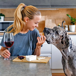 woman with cheese and wine feeding her dog cheese