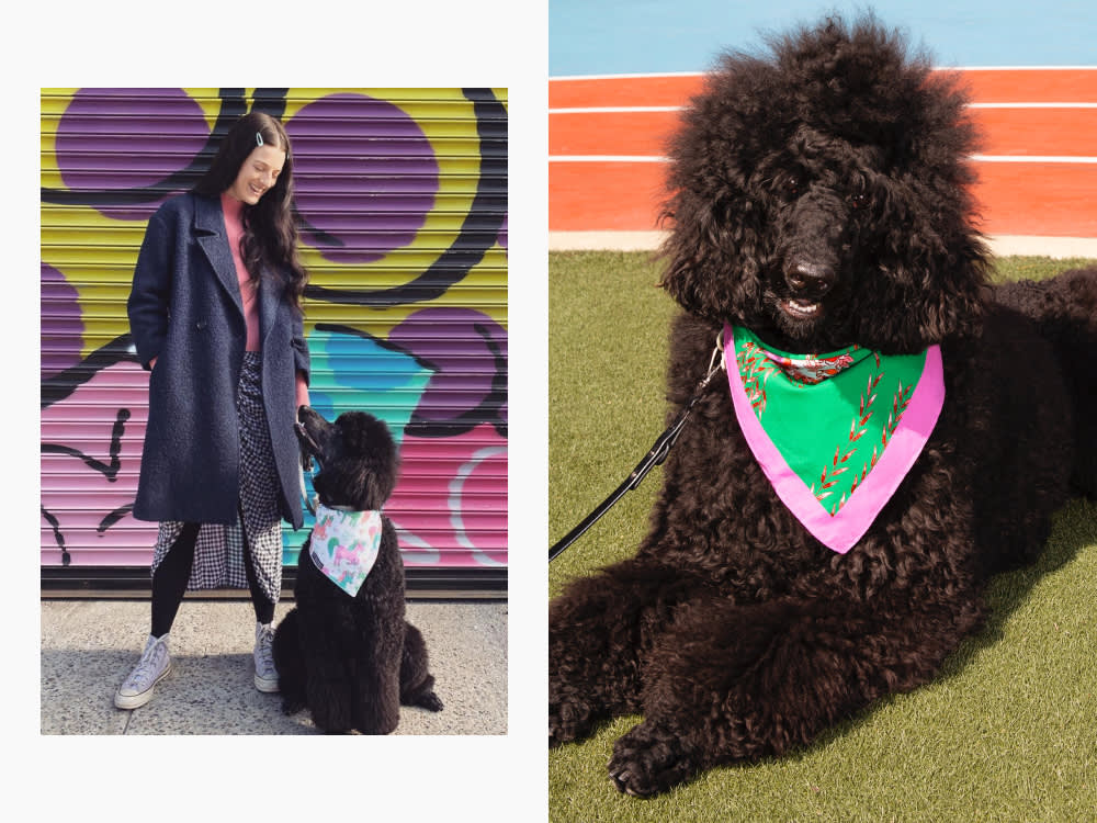 Chelsea Hodson and her black Poodle magic, who wears a bandana 