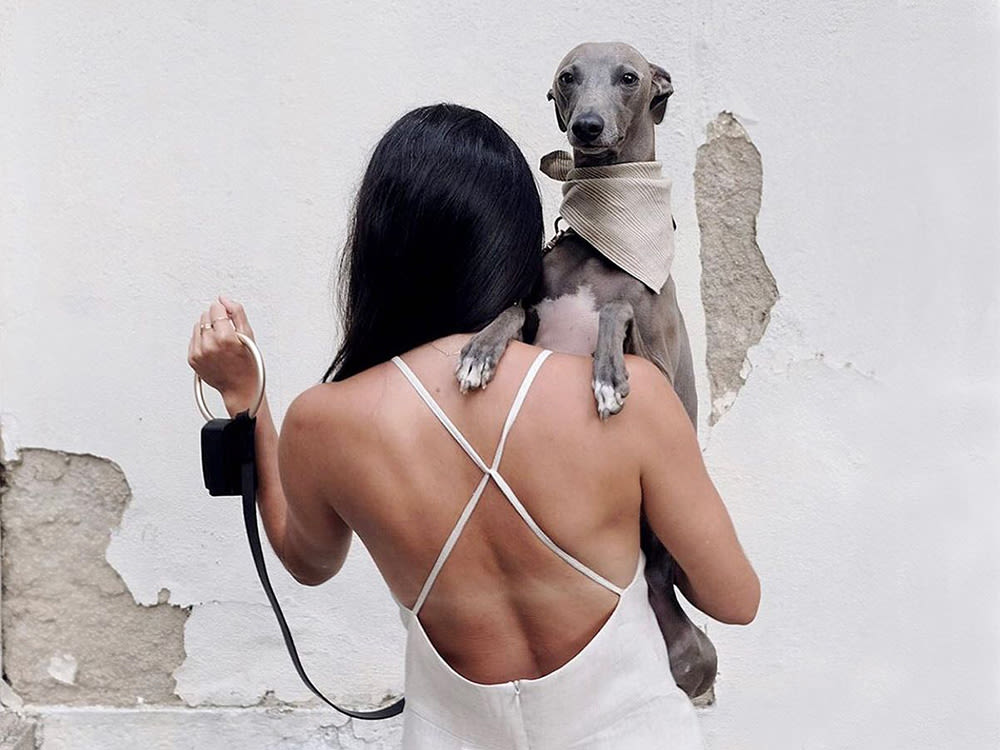 A woman holding a dog and advertising a dog leash. 