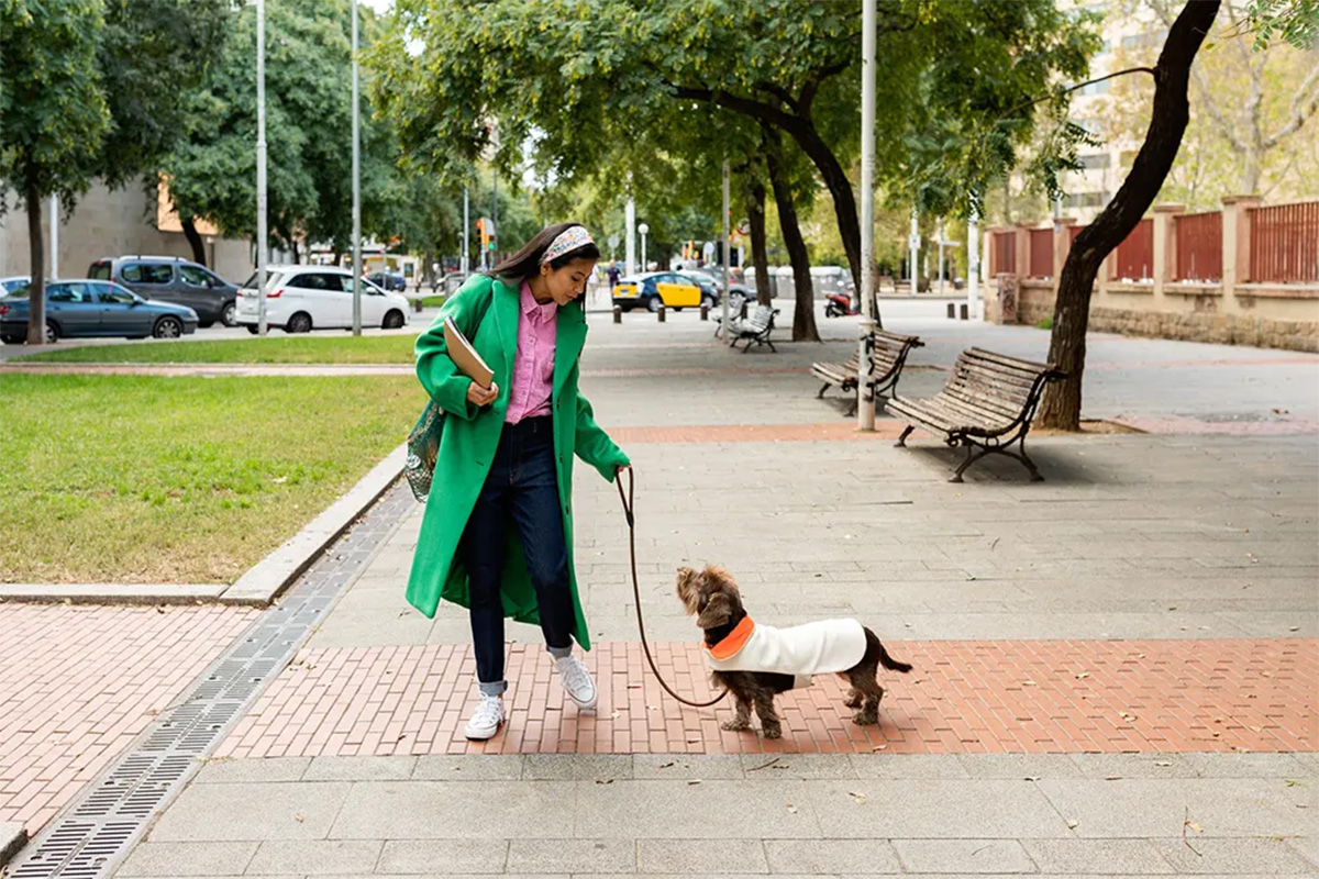 Person walking a dog