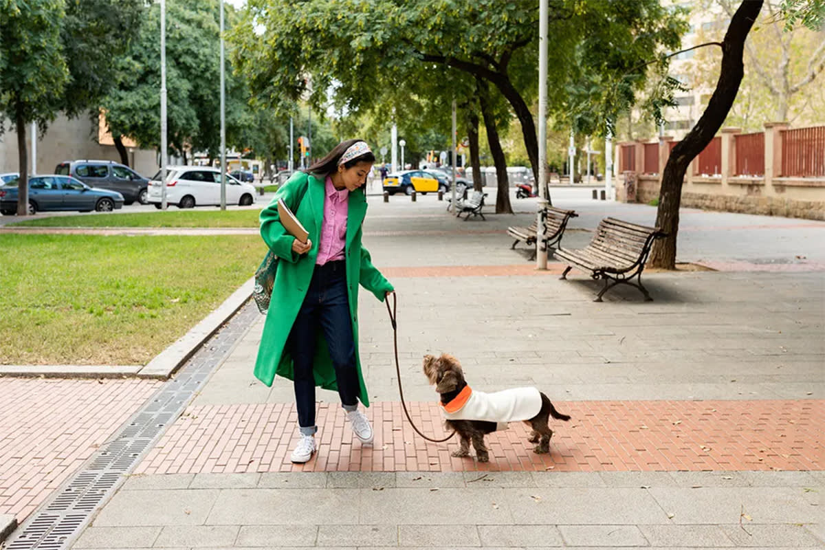 Person walking a dog
