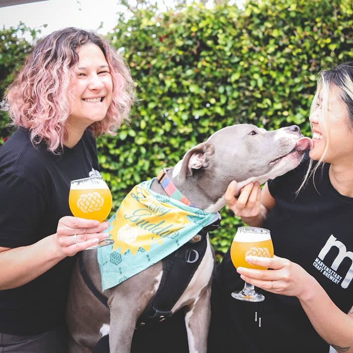 A Pittie licks the face of a dog parent at Three Weavers Brewing
