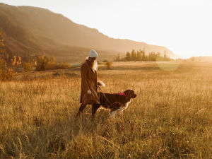 A woman walking in a golden field during sunset with her dog. 