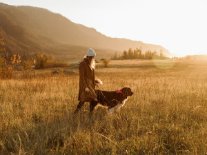 A woman walking in a golden field during sunset with her dog. 