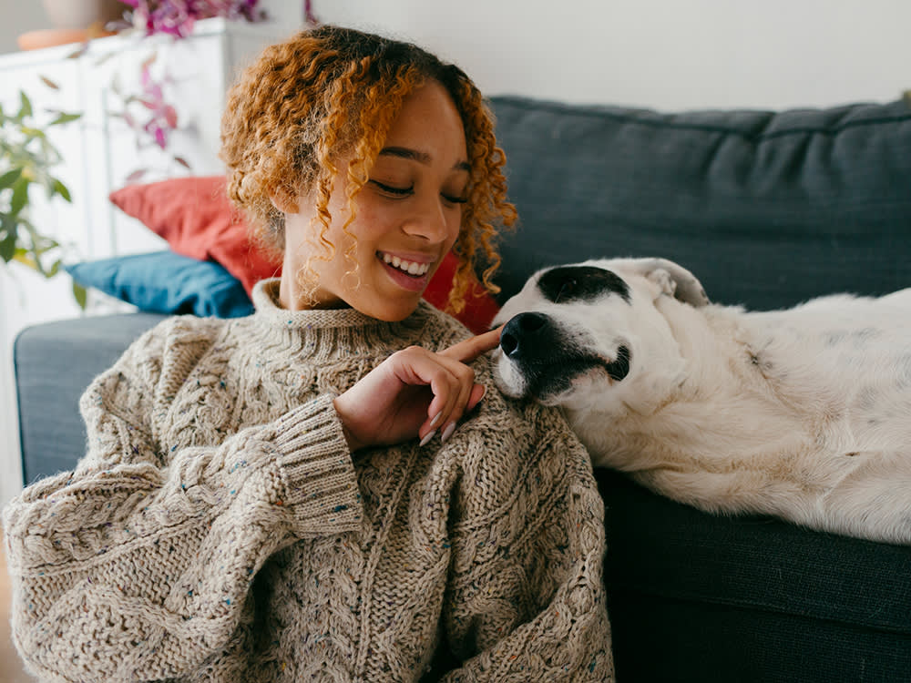 Curly haired woman in a sweater spending quality time with her white and black foster dog on the couch
