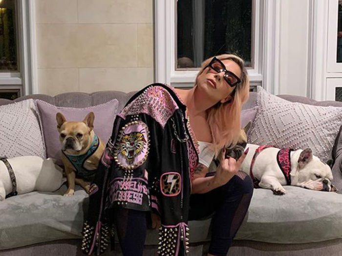 Lady Gaga sitting with her dogs on a couch.