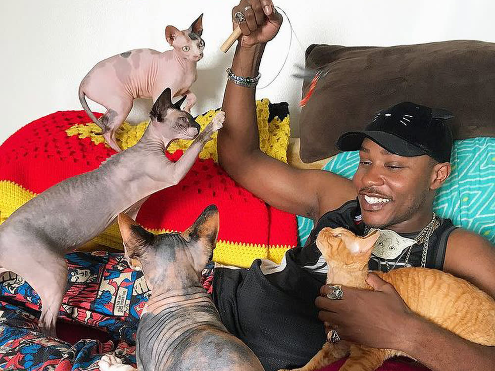 moshow with his cats