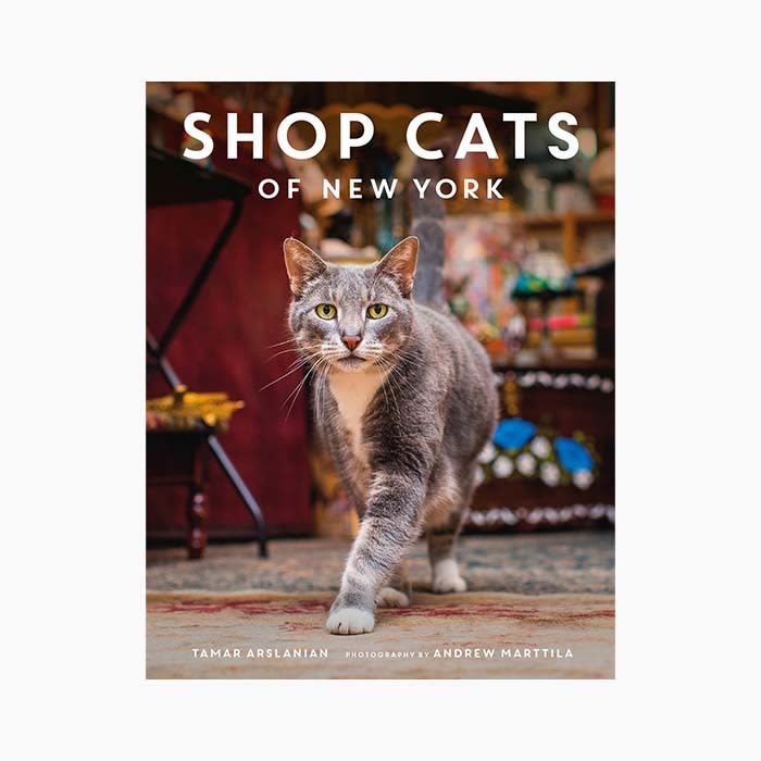 shop cats of NY book