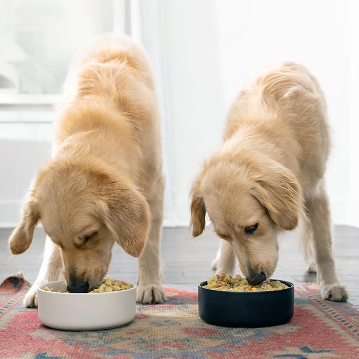 two dogs eat Nom Nom food 