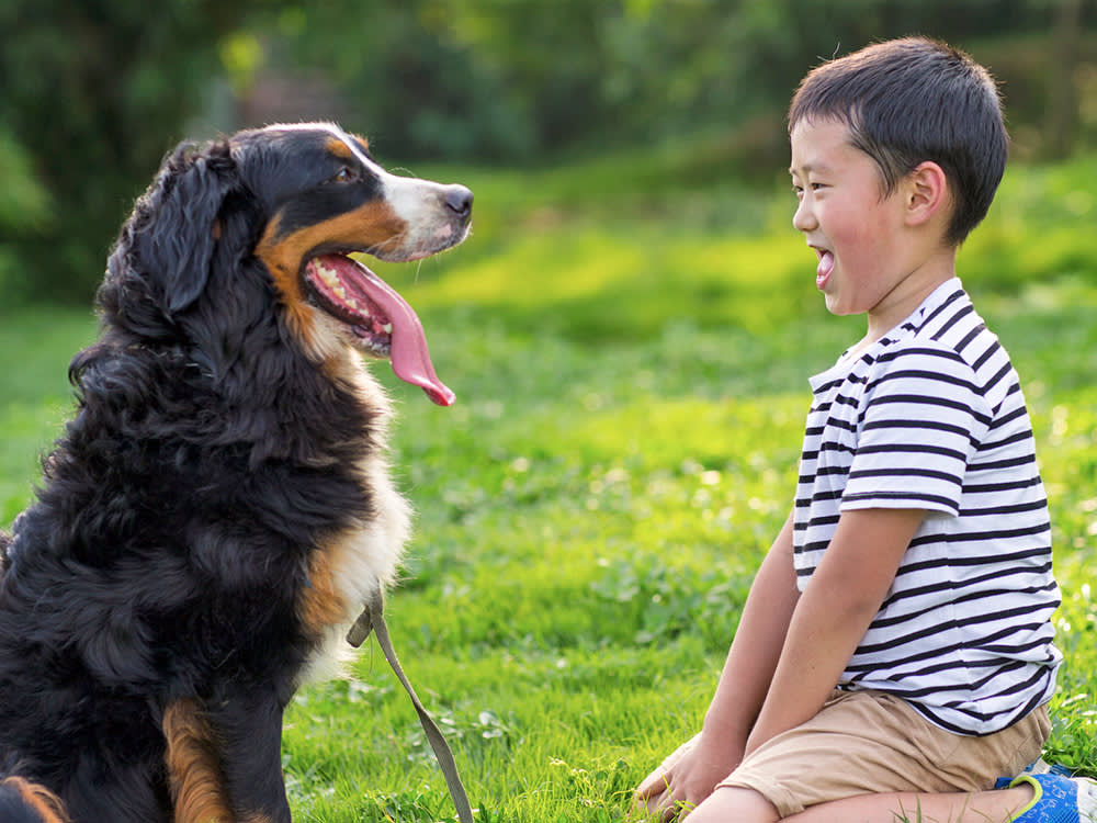 Dog and child looking at each other sat on the grass