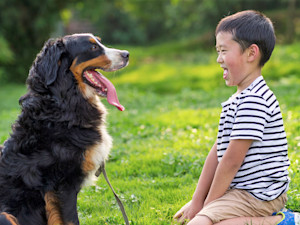 Dog and child looking at each other sat on the grass
