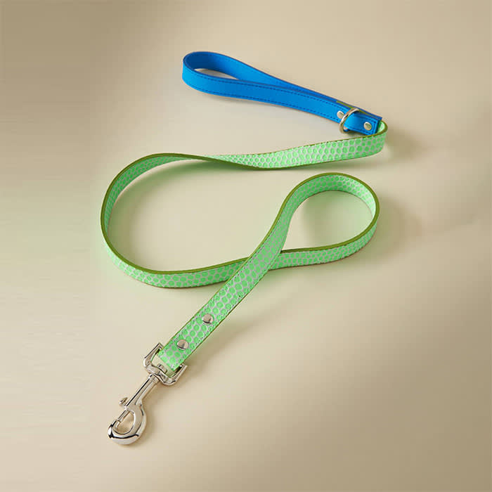 WARE of the DOG Leather Leash
