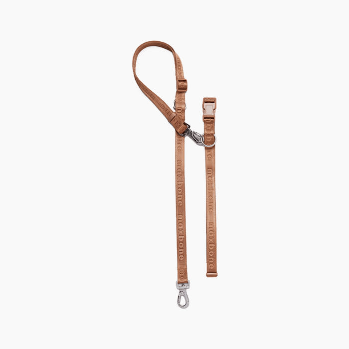 the leash in camel