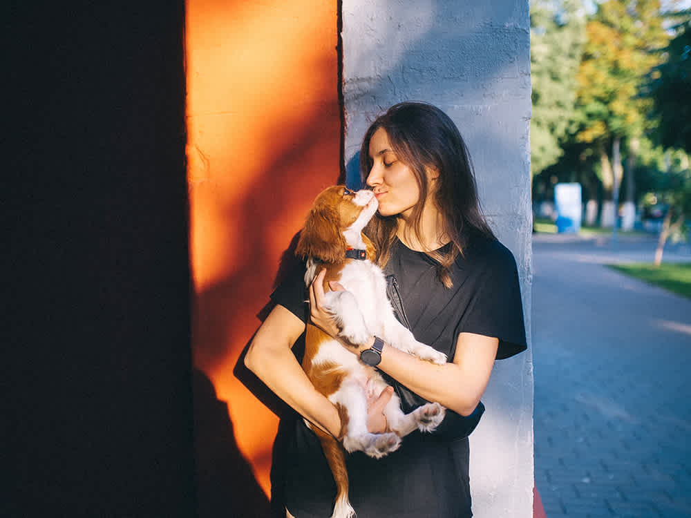 Woman holding a beagle in warm dappled summer light
