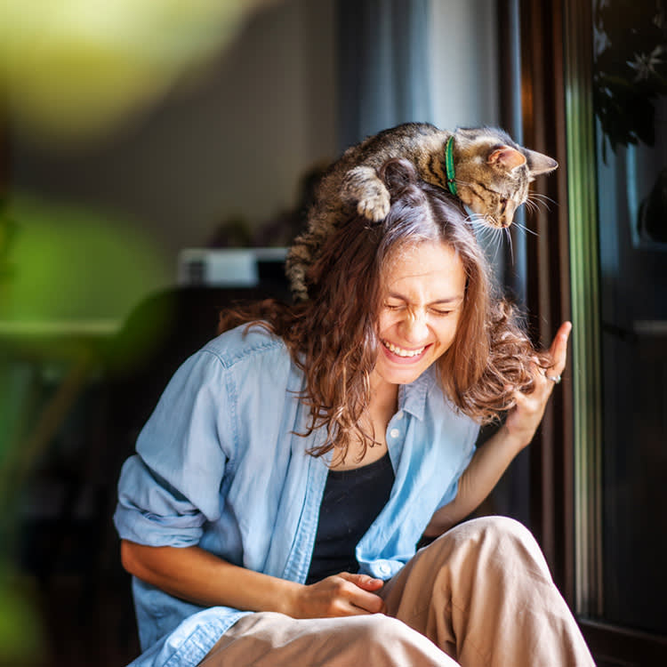 Beautiful young woman laughing happily with a cat on her head.
