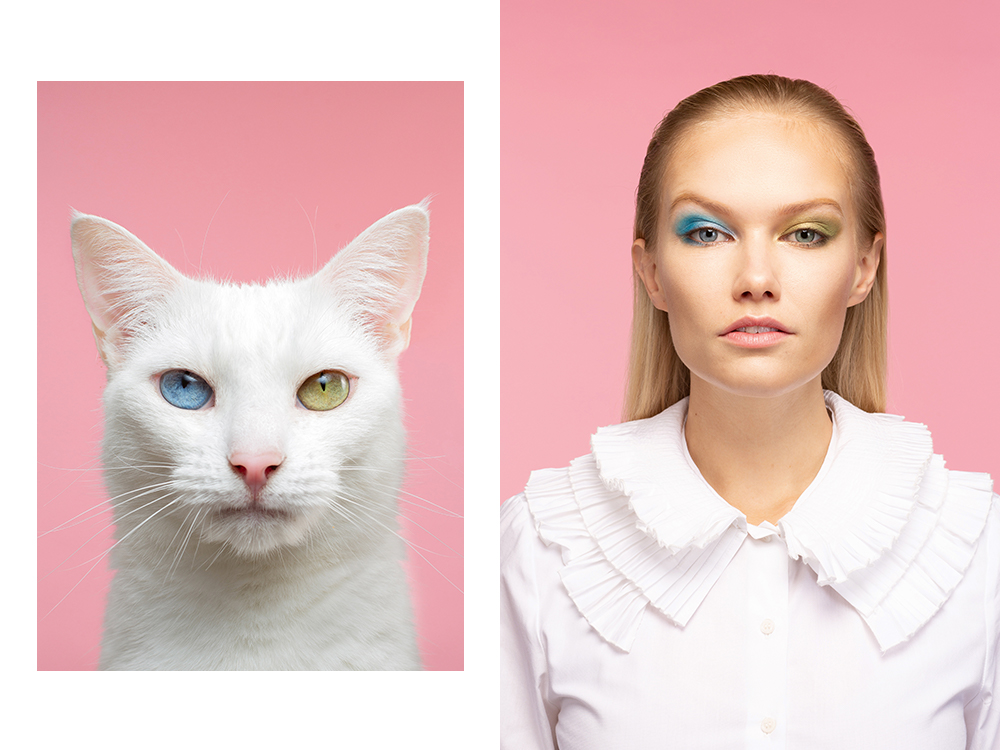 Sara Skjoldnes and Khao Manee cat angelique