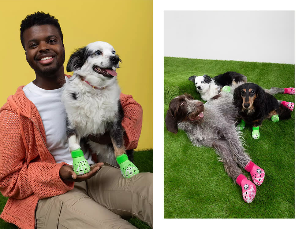 a pet parent holds a dog Crocs model; three dogs cuddle in Crocs