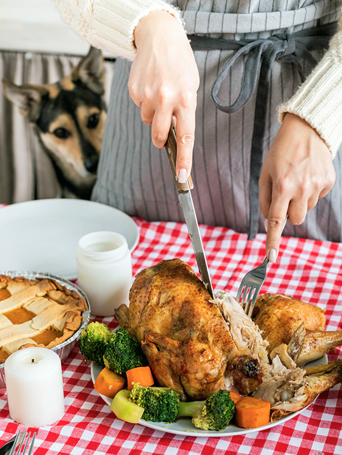 Woman cutting turkey at home while dog watches.