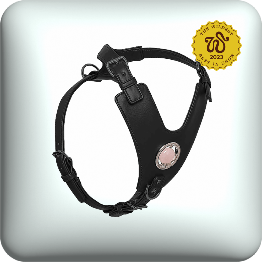 Merci Collective Good Vibration Harness in black with pink crystal 
