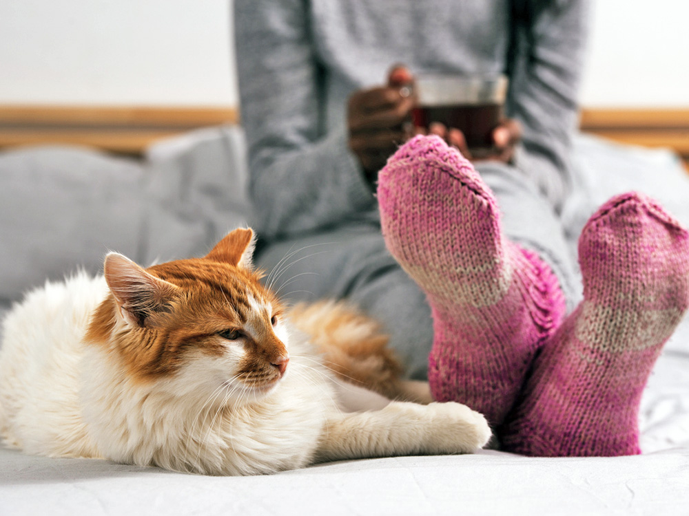 Cat sleeping at woman's feet in bed.