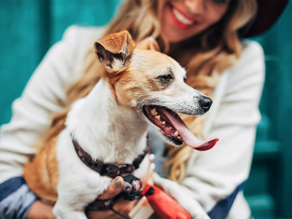 Outdoor shot of a woman holding her dog.
