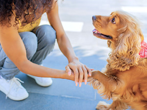 Woman meeting dog outside.