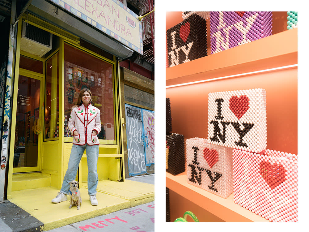 Susan Alexandra and her rescue Chihuahua, Pigeon; a display of Susan Alexandra's I Love New York bags