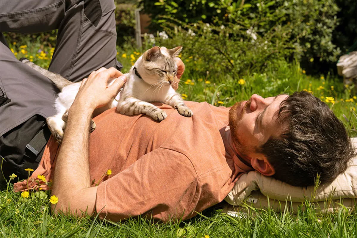 Cat on top of person