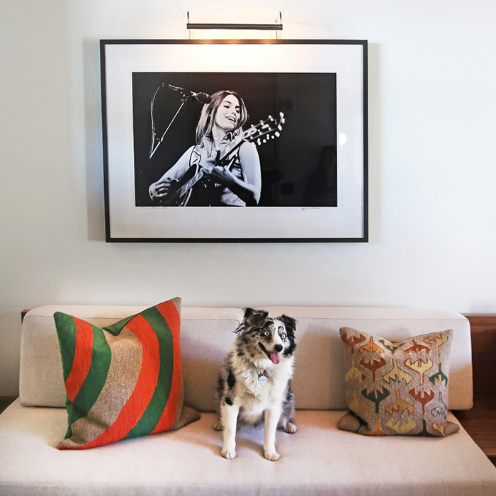 dog sitting on white couch between two cushions under picture of performer singing and playing guitar
