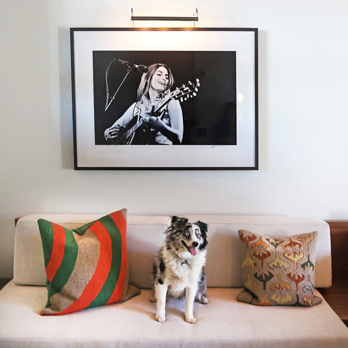 dog sitting on white couch between two cushions under picture of performer singing and playing guitar