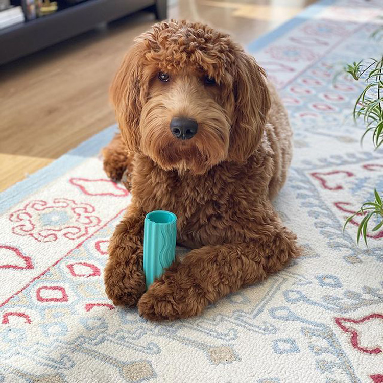 GroovyToob Is the Upgraded Squeaker Toy of Your Puppy's Dreams