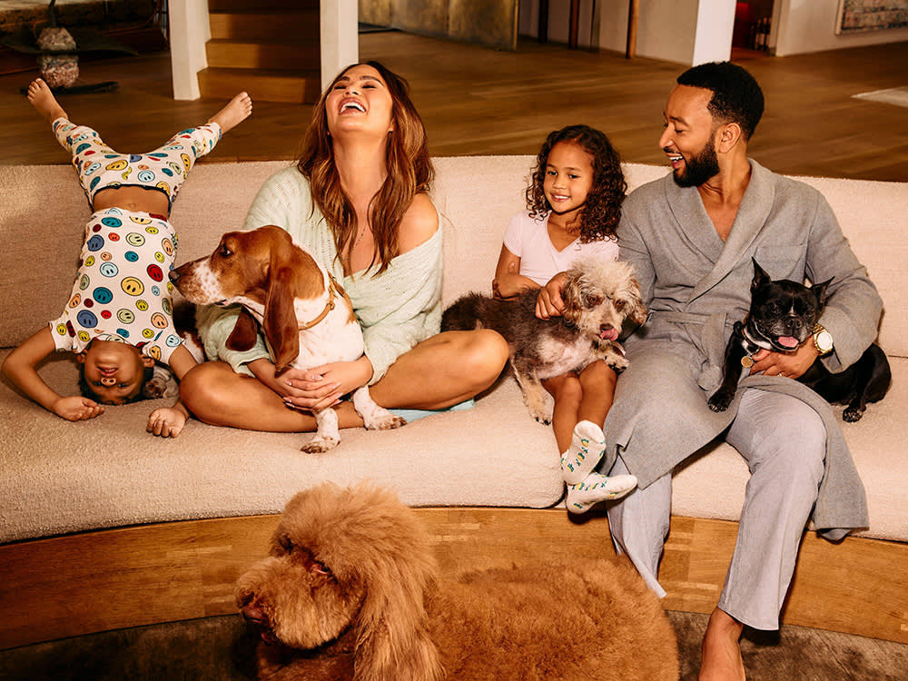 Chrissy Teigen and John Legend are celebrating their love for their furry friends with their first joint business venture: a pet food brand called Kismet.