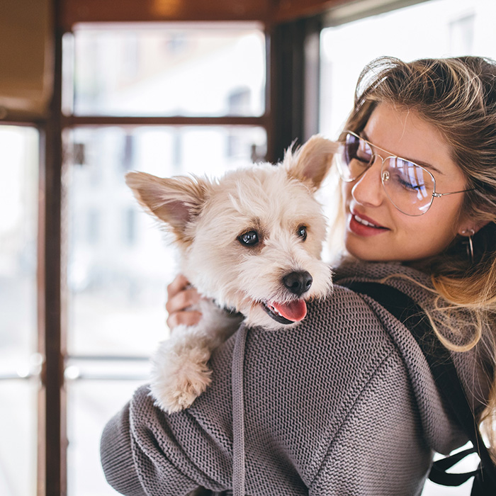 a woman and a dog on a cable car