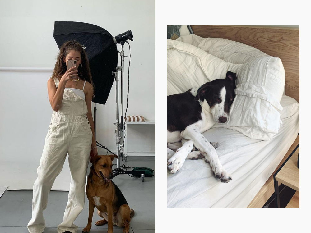 danielle and her dog