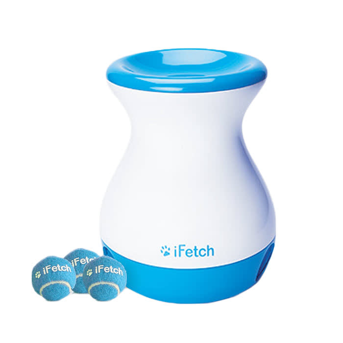 iFetch Frenzy Brain Game