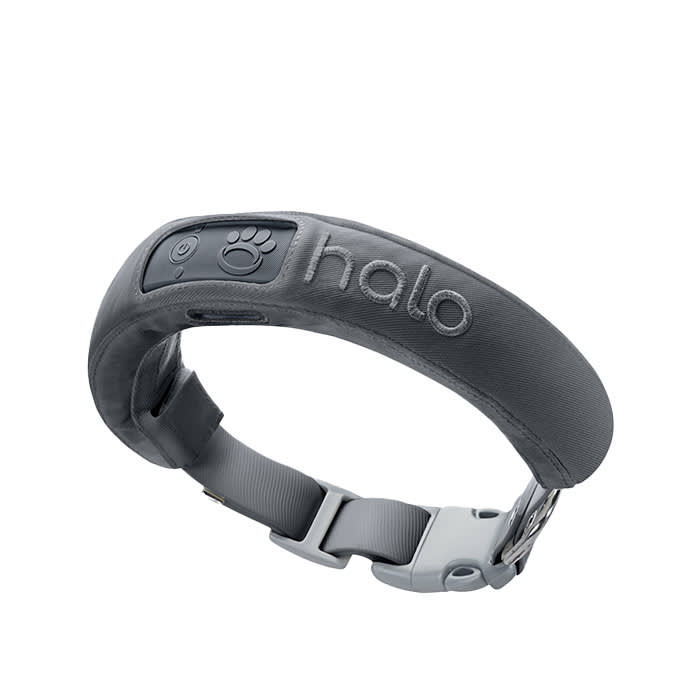 Halo Collar 3