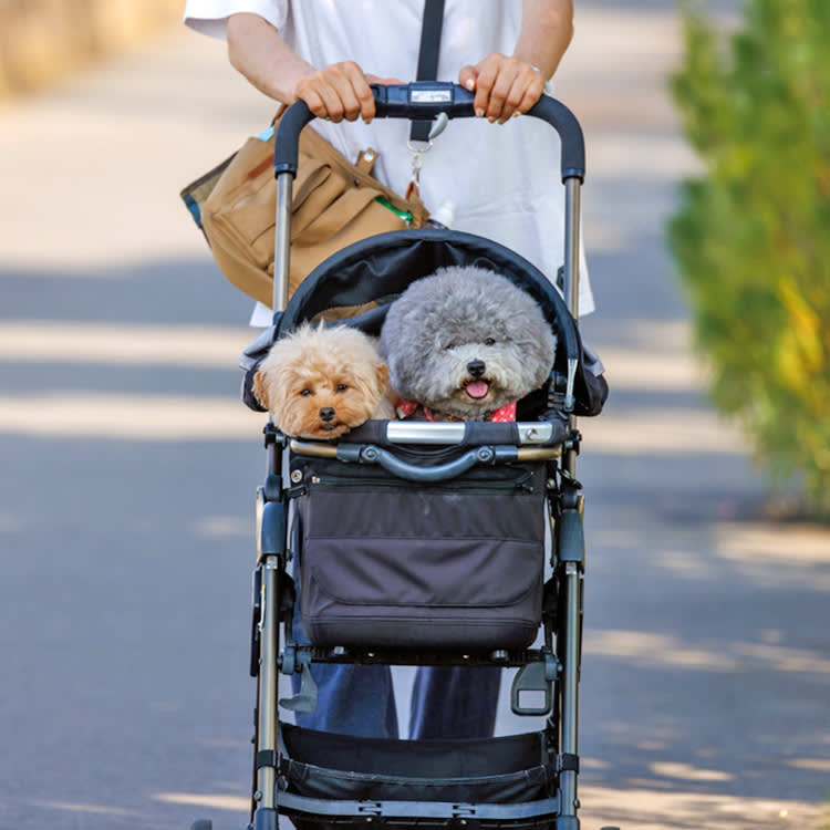two very fluffy dogs are pushed along in a dog stroller
