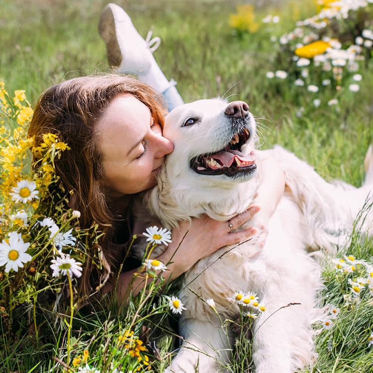 woman hugging dog in field of daisies