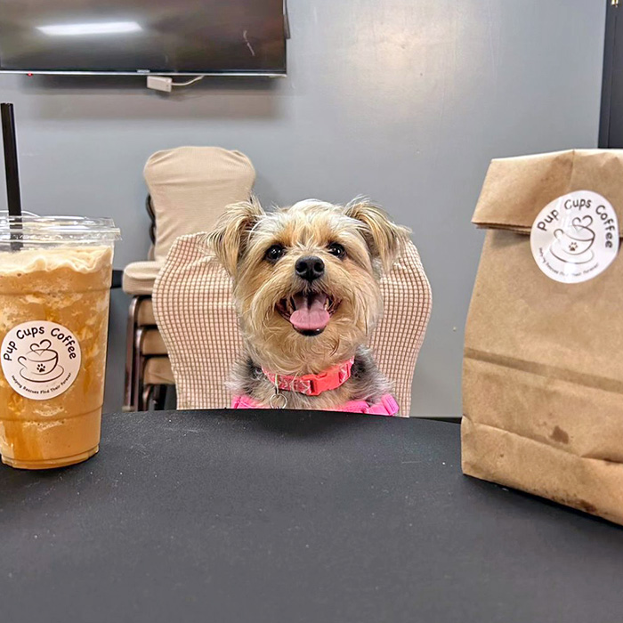 Pup Cups coffee