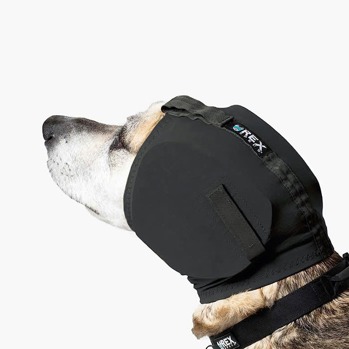 Best Dog Earmuffs For Blocking Out Fireworks · The Wildest