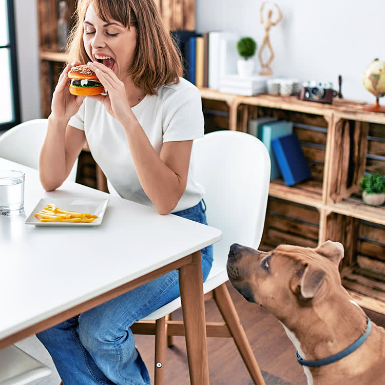 Woman eating a burger with fries while dog watches at home.