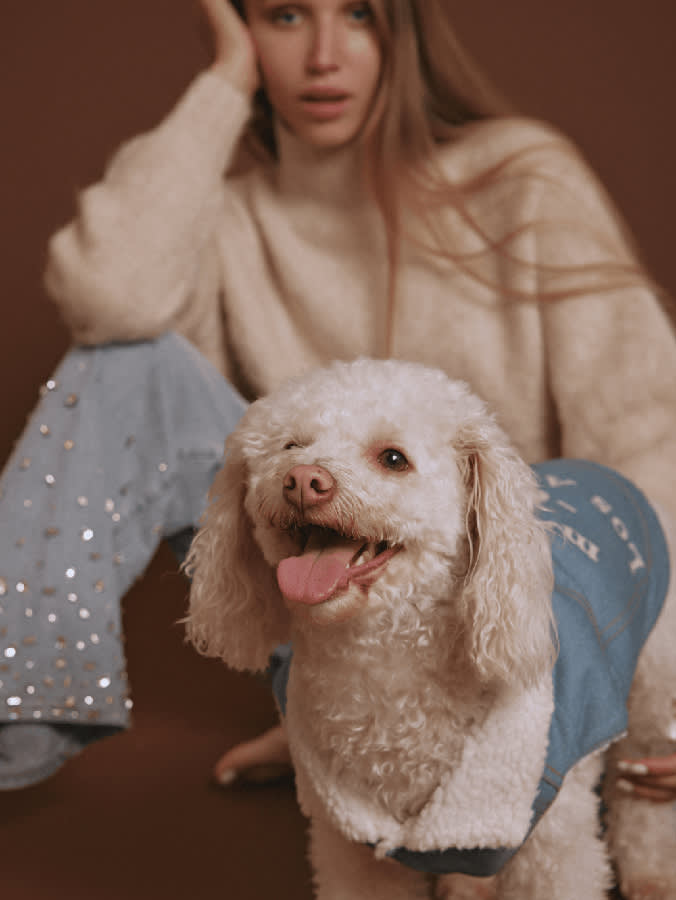 A white Poodle mix dog wearing a jean jacket with fur trim and Maxbone x Fred Segal written on the back with a surprised looking model sitting behind the dog against a medium brown background