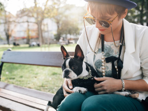 Stylish woman sitting on a bench with her Boston Terrier dog.