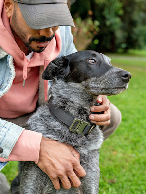 Man petting his dog's neck outdoors.